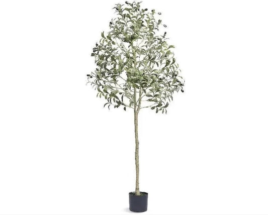 Olive tree - Olive tree artificial - Tree - Artificial plant - Decoration - 181cm - Indoor and Outdoor - Black/Green