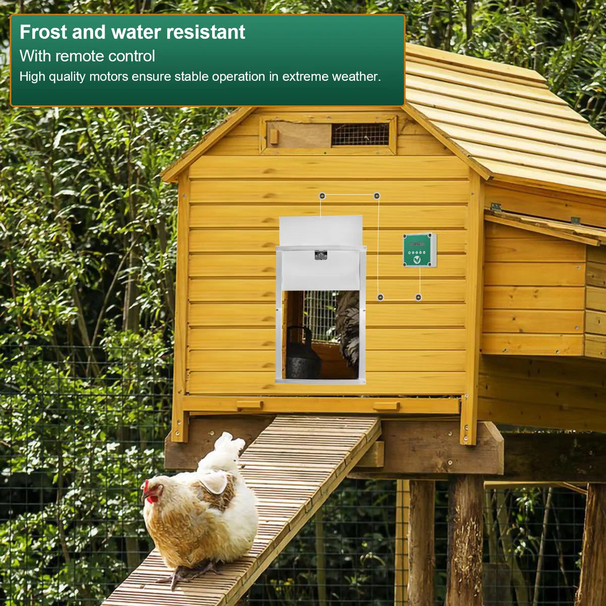 Chicken Door - Automatic Chicken Door - Chicken Coop Door with Controller - Chicken Door with Timer and Light Sensor - Aluminum/30x 30 cm