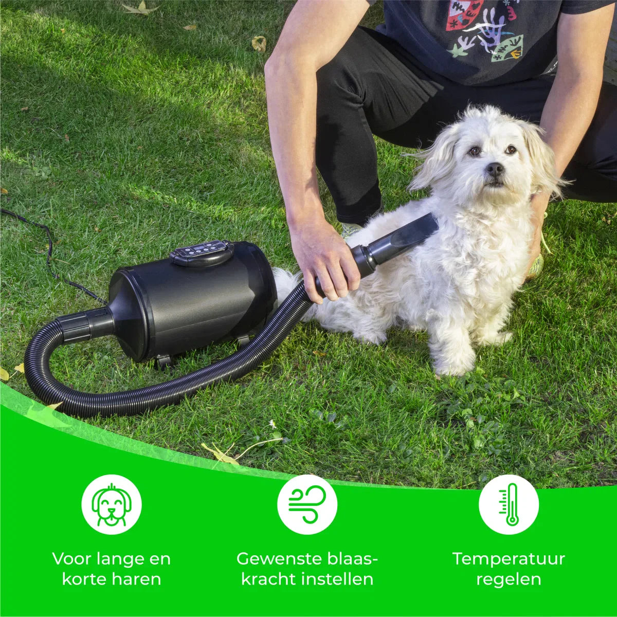 Dog Hair Dryer with 4 Nozzles - 2800W - Pet Blaster for Dogs - Dog Dryer - Dog Blaster - Black