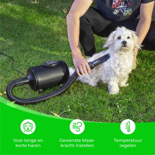 Dog Hair Dryer with 4 Nozzles - 2800W - Pet Blaster for Dogs - Dog Dryer - Dog Blaster - Black