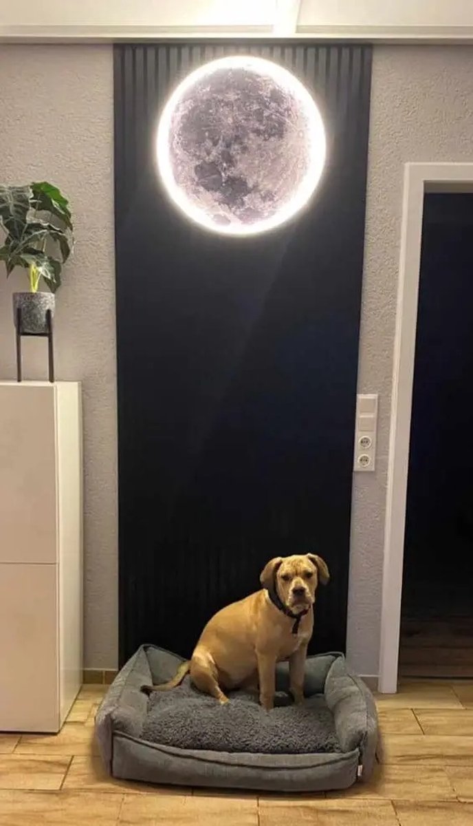 Iralan - Maan Wandlamp - Ø 60 cm - Dimbaar Met Afstandsbediening - Slaapkamerlamp - Woonkamerlamp - Moderne lamp - Led Lamp - Led Plafond Lamp