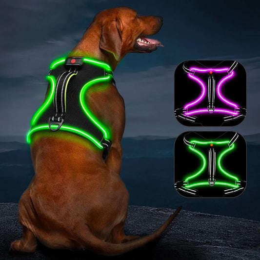Harness Luminous Rechargeable Light Harness for Dogs LED Lighted Dog Harness for Small, Medium and Large Dogs Light Harness for Dogs