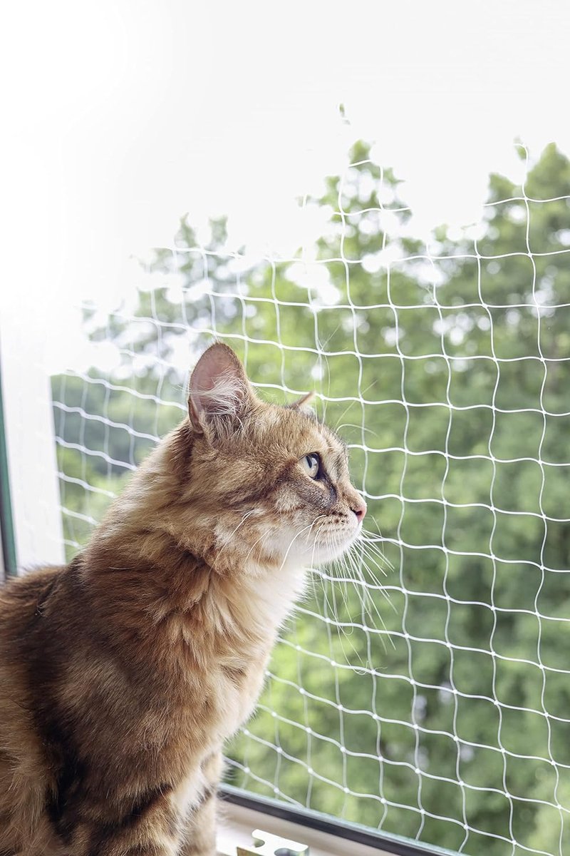 Kattennet