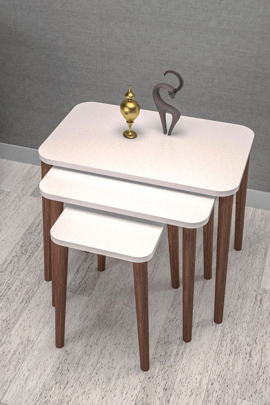 Salontafelset van 3 - Bijzettafel wit en bruin