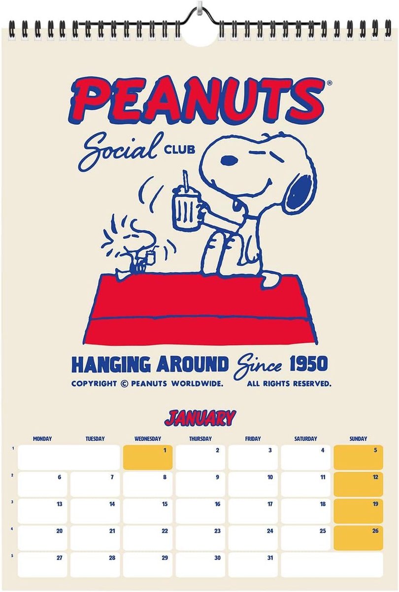 A3 Kalender 2025 Snoopy 12 maanden - Familiekalender voor aan de muur - 297x42 cm kalender 2025 maandkalender