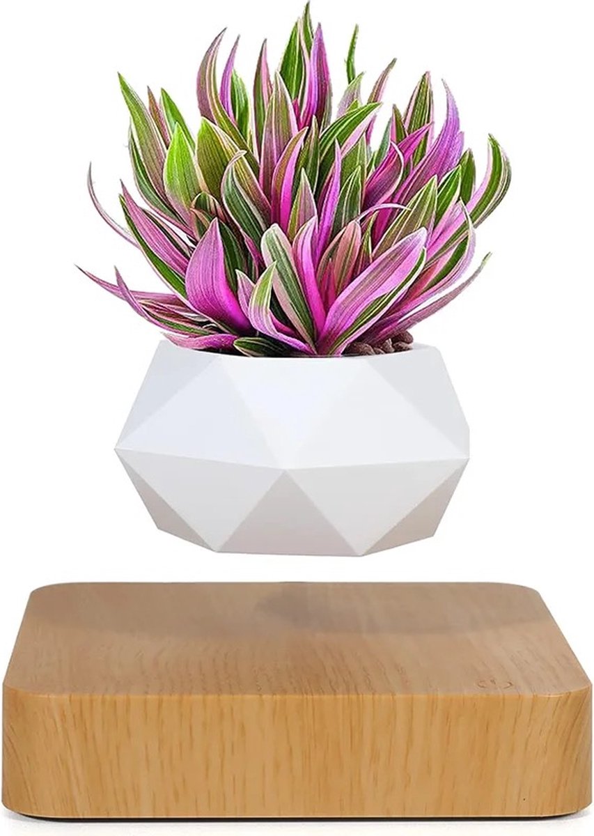 Floating flower pot - Floating plant - Magnetic - Indoor flower pot - Modern decoration - Light brown base