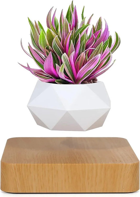 Floating flower pot - Floating plant - Magnetic - Indoor flower pot - Modern decoration - Light brown base