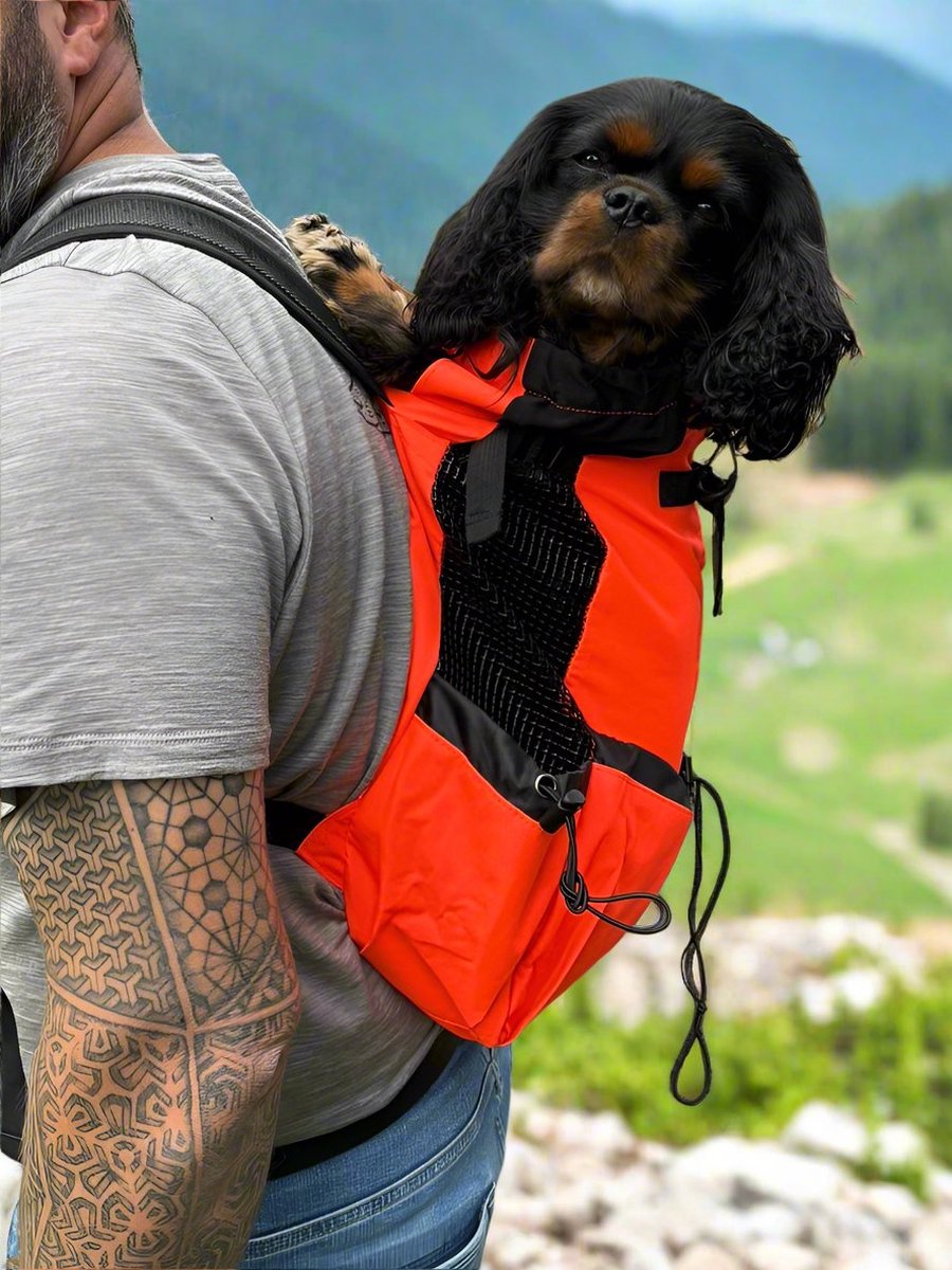 Dog backpack - dog carrier - red - M