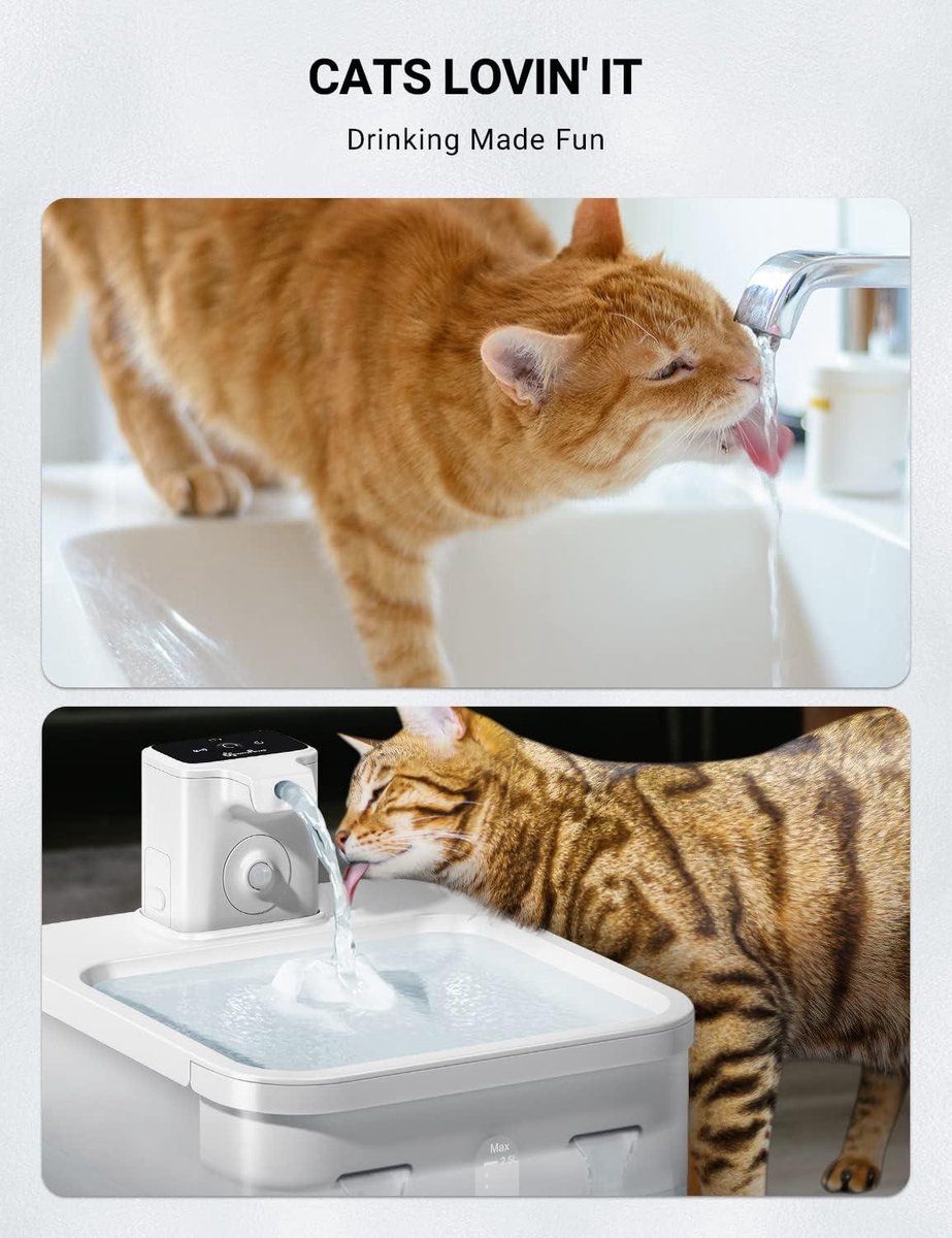 Draadloos filter voor drinkfontein voor katten (12 stuks) voor DPWFP6