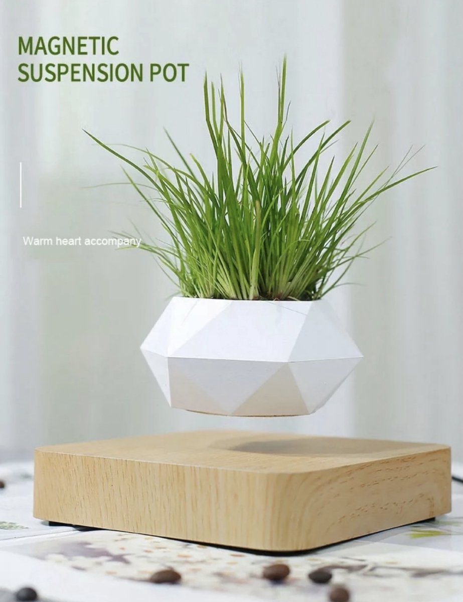 Floating flower pot - Floating plant - Magnetic - Indoor flower pot - Modern decoration - Light brown base