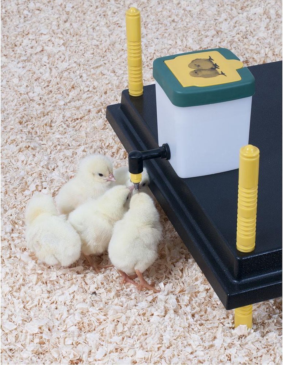 Heat plate 25 x 25 CM - Drinking bottle 0.5 L - Feeder - For chicks