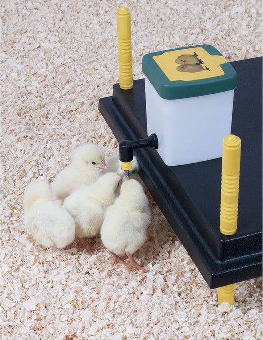 Heat plate 25 x 25 CM - Drinking bottle 0.5 L - Feeder - For chicks