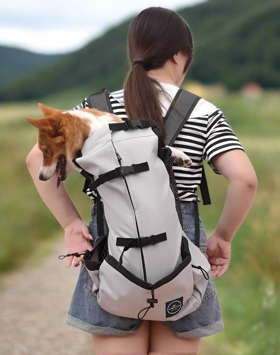 Dog backpack - dog carrier - grey - S
