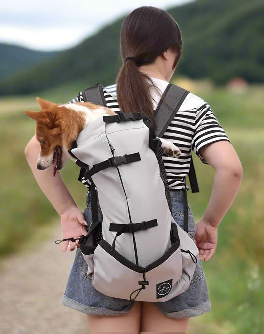 Dog backpack - dog carrier - grey - S
