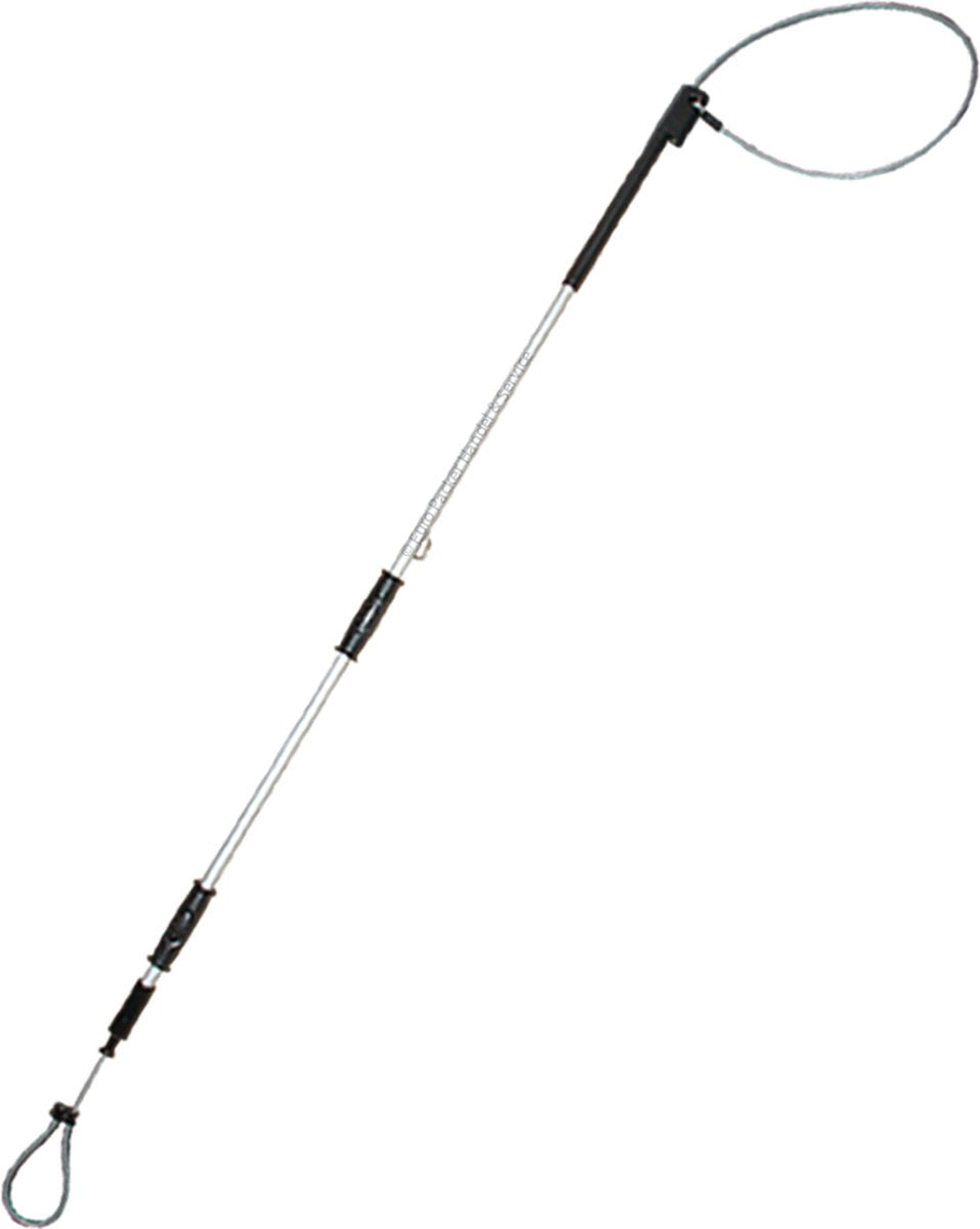 Catchpole 152cm with quick release for dogs and and other animals