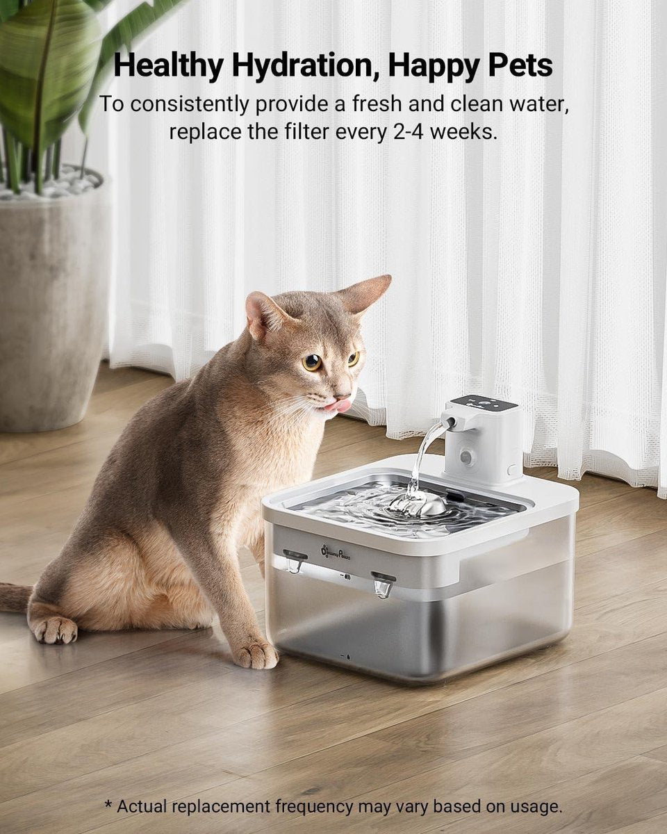 Draadloos filter voor drinkfontein voor katten (12 stuks) voor DPWFP6
