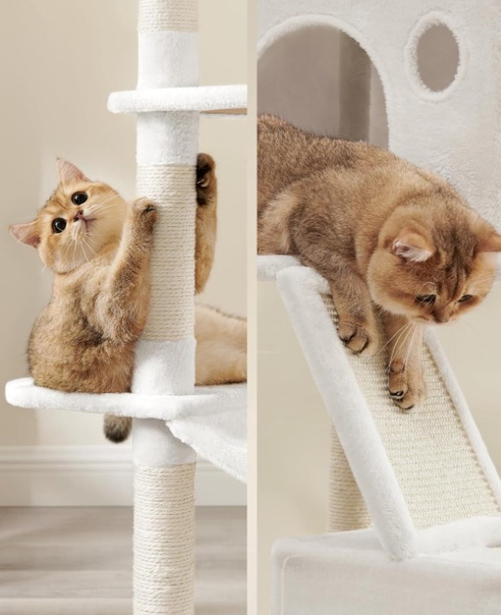 Krabpaal voor zware katten - Hoge krabpaal - Krabpaal boomstam - Krabpaal voor grote katten - Kattentoren - Plafondhoge krabpaal - Stevige krabpaal - Krabpaal voor katten - XXL - Kattenverblijf
