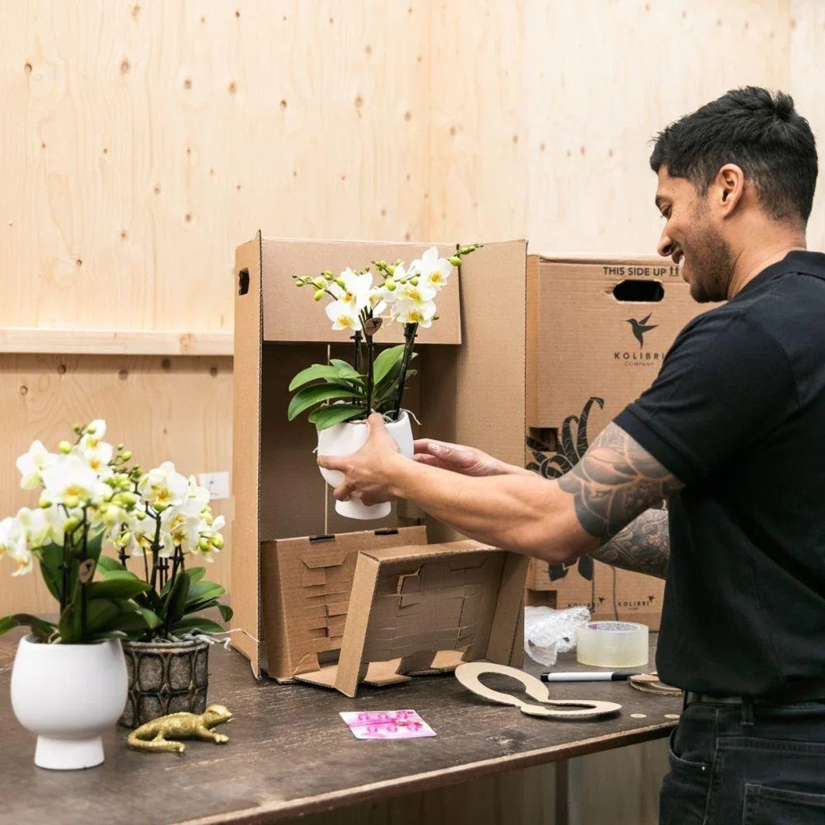 Cadeauset Hotel Chic | Plantenset met paarse Phalaenopsis Orchidee en Vetplanten incl. keramische sierpotten -