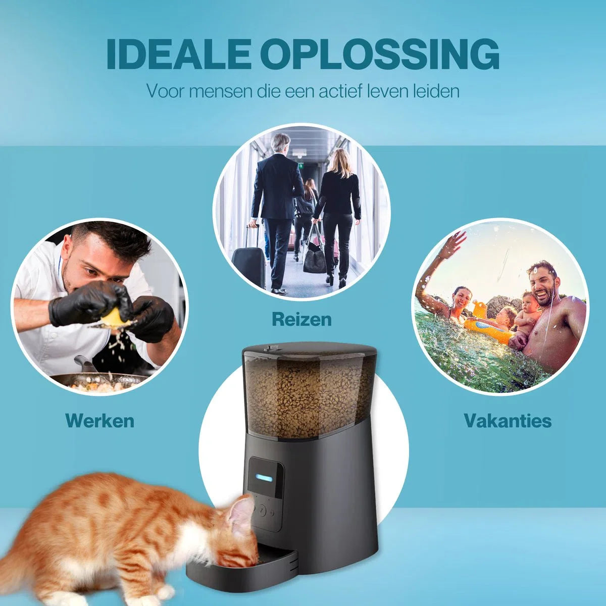 Automatic Pet Feeder Cat and Dog - Food Dispenser with smartphone control - Food Dispenser - Food capacity 6 Liters
