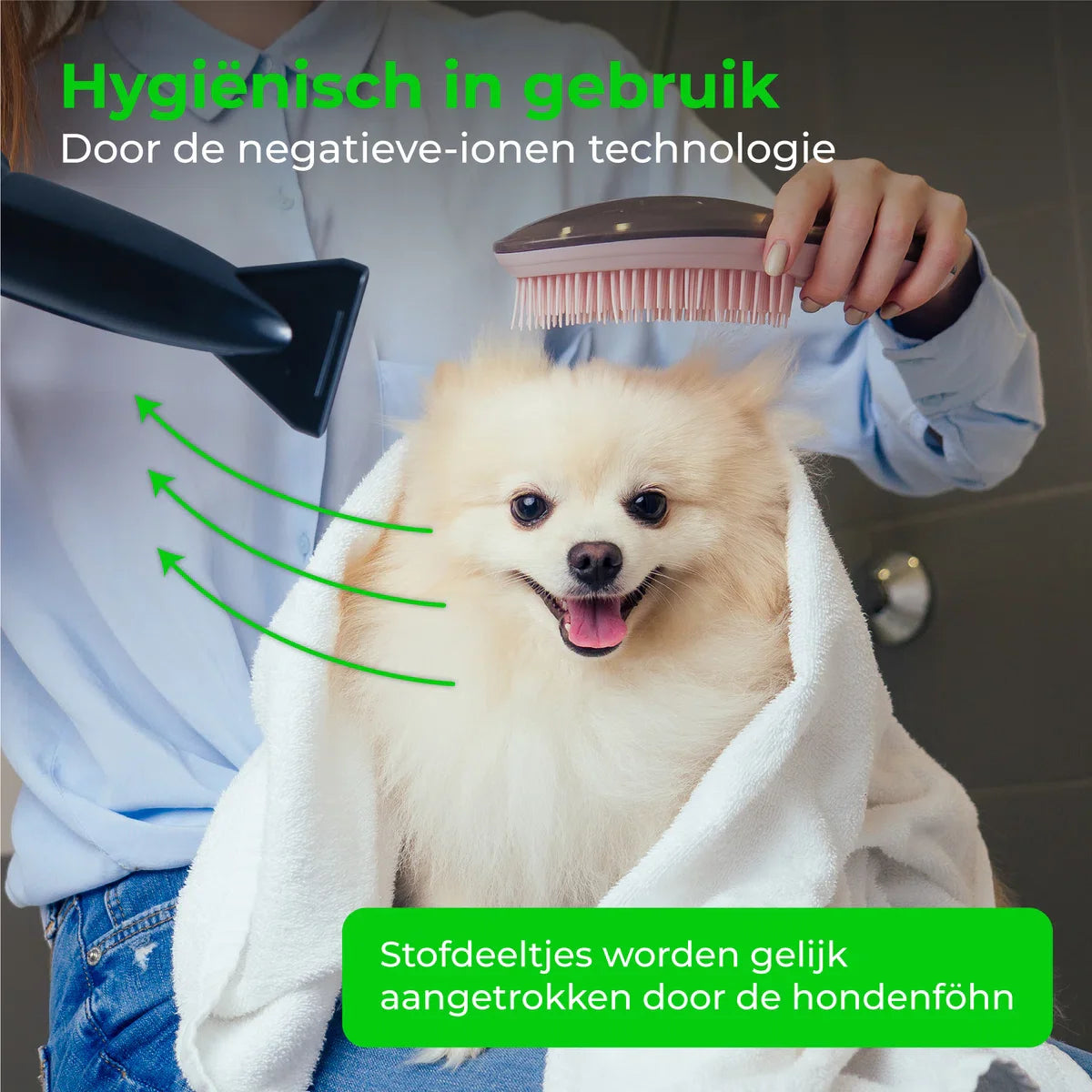 Dog Hair Dryer with 4 Nozzles - 2800W - Pet Blaster for Dogs - Dog Dryer - Dog Blaster - Black
