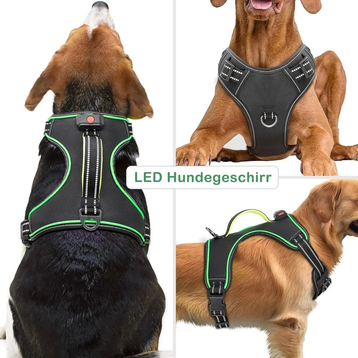Harness Luminous Rechargeable Light Harness for Dogs LED Lighted Dog Harness for Small, Medium and Large Dogs Light Harness for Dogs