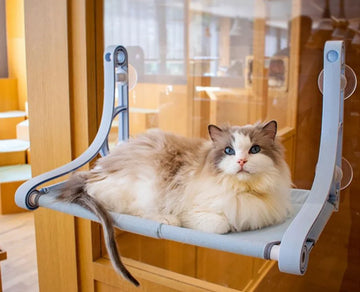 Kat Bed Luxe Zuignap Hangmat Nest Opknoping Kat Bed Raam Klimmuur Vensterbank Muur Wandmeubel Hangmat Katten bed Huisdier Dierbenodigdheden