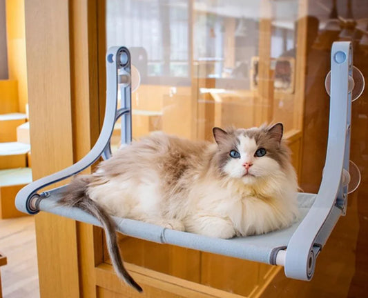 Luxe Kattenbed Zuignap Hangmat Nest Hangend Kattenbed Raam Klimmuur Vensterbank Wandmeubel Hangmat Kattenmand Huisdierbenodigdheden