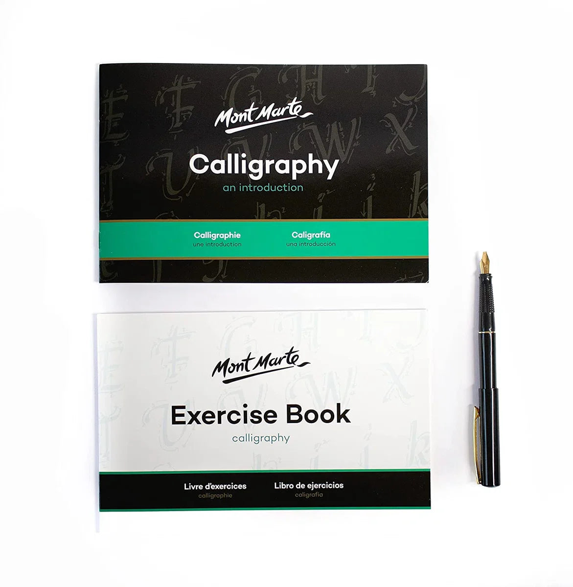 Kalligrafieset - Inkt Kalligrafieset - Kalligrafiepen - Cadeau - Geschenk - Schrijven - Kleuren - Cadeauverpakking - Giftset - Beginners - Experts - Hobby - Vulpen - 5 Soorten Penpunten - Inclusief Oefenboek