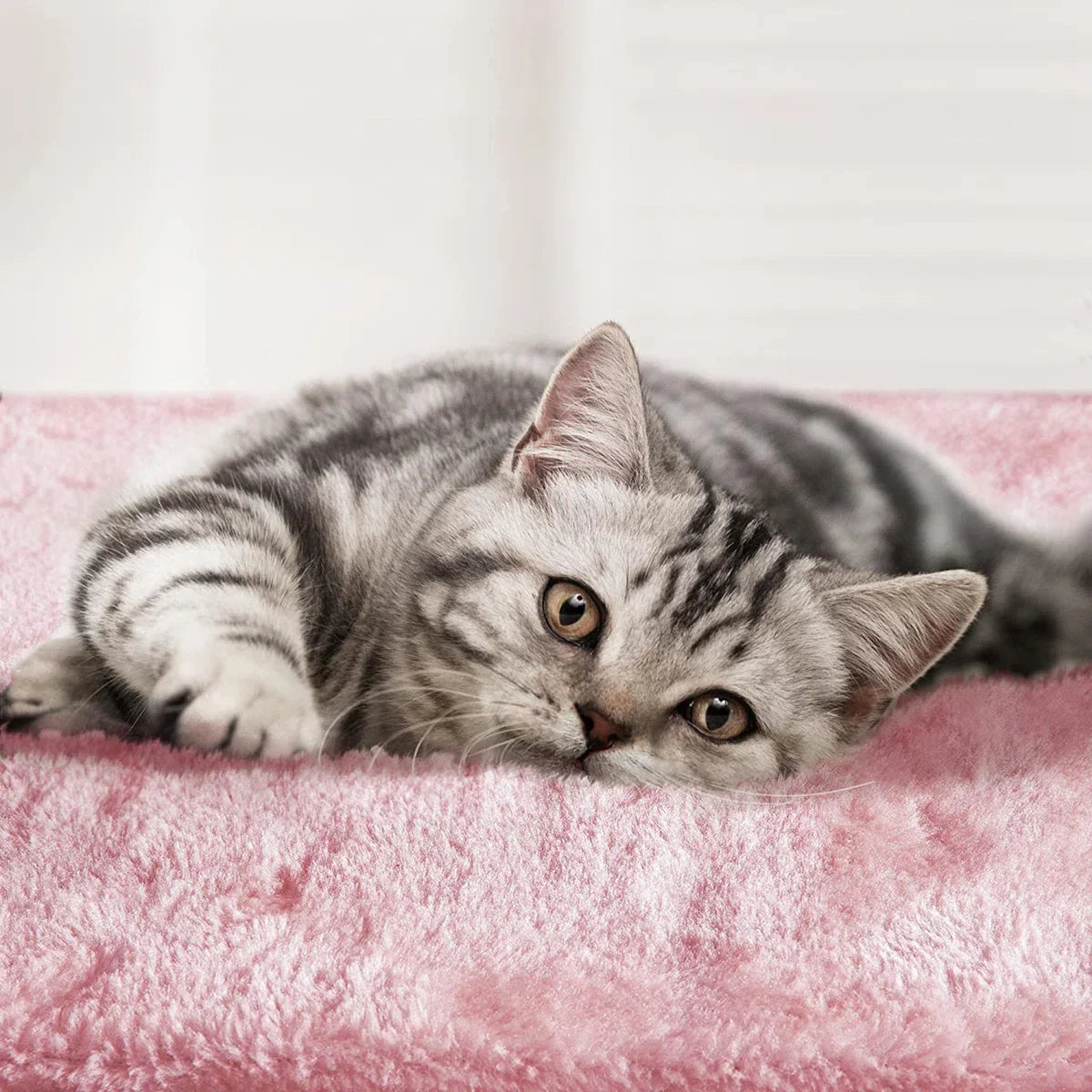 kattenkrabpaal / grote klimboom - speelhuis voor katten / playhouse for cats