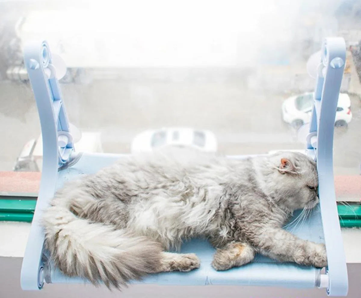 Luxe Kattenbed Zuignap Hangmat Nest Hangend Kattenbed Raam Klimmuur Vensterbank Wandmeubel Hangmat Kattenmand Huisdierbenodigdheden