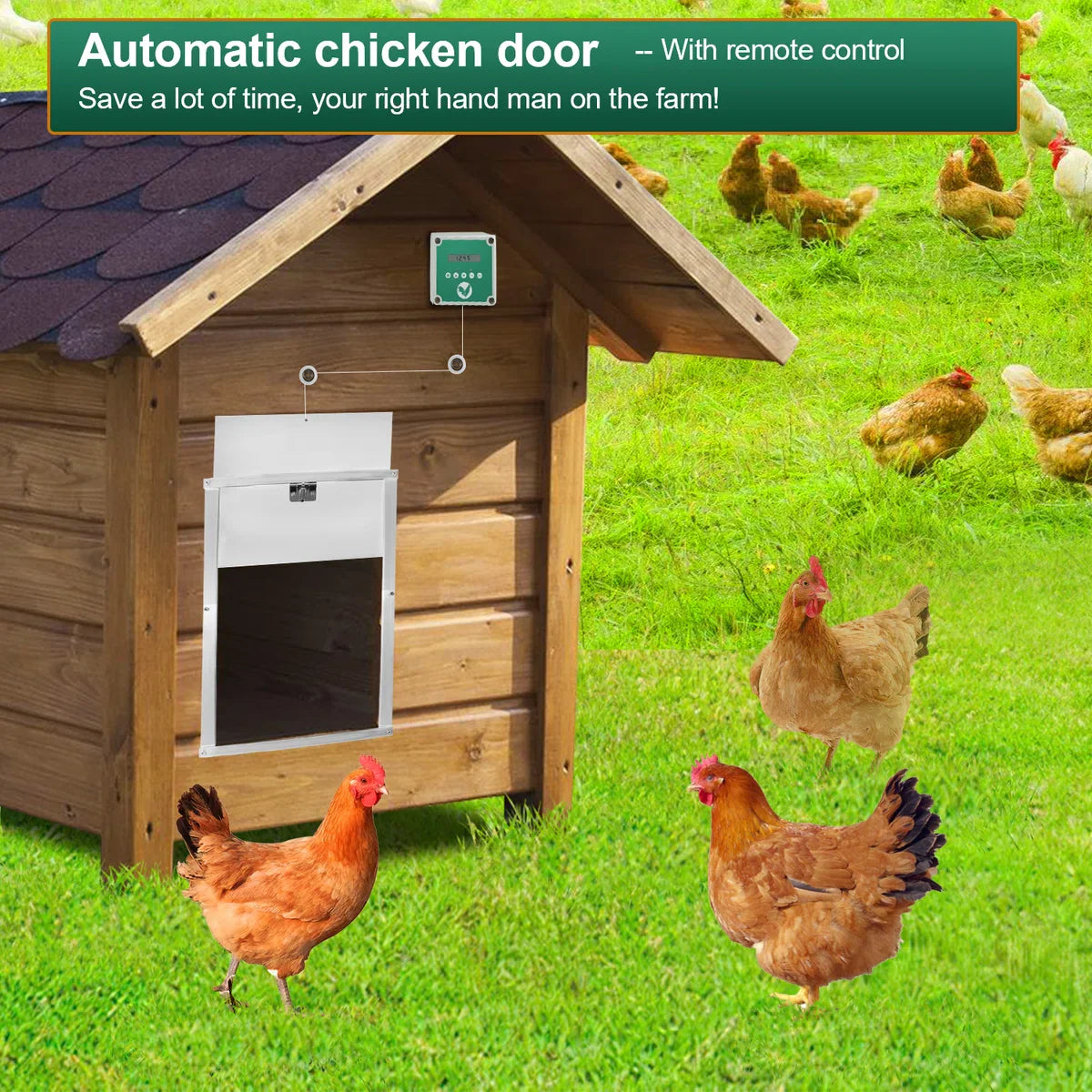 Chicken Door - Automatic Chicken Door - Chicken Coop Door with Controller - Chicken Door with Timer and Light Sensor - Aluminum/30x 30 cm