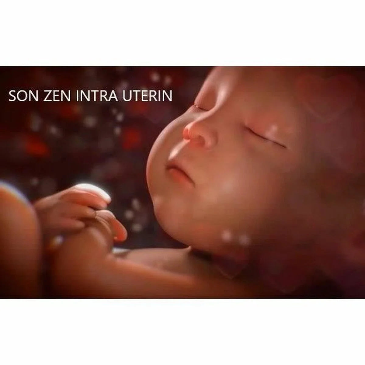 Motorola Nursery Babyfoon met Camera - VM55 - 5-inch Kleurendisplay - Draadloos - Infrarood Nachtzicht - Kantelbare Camera - Terugspreekfunctie