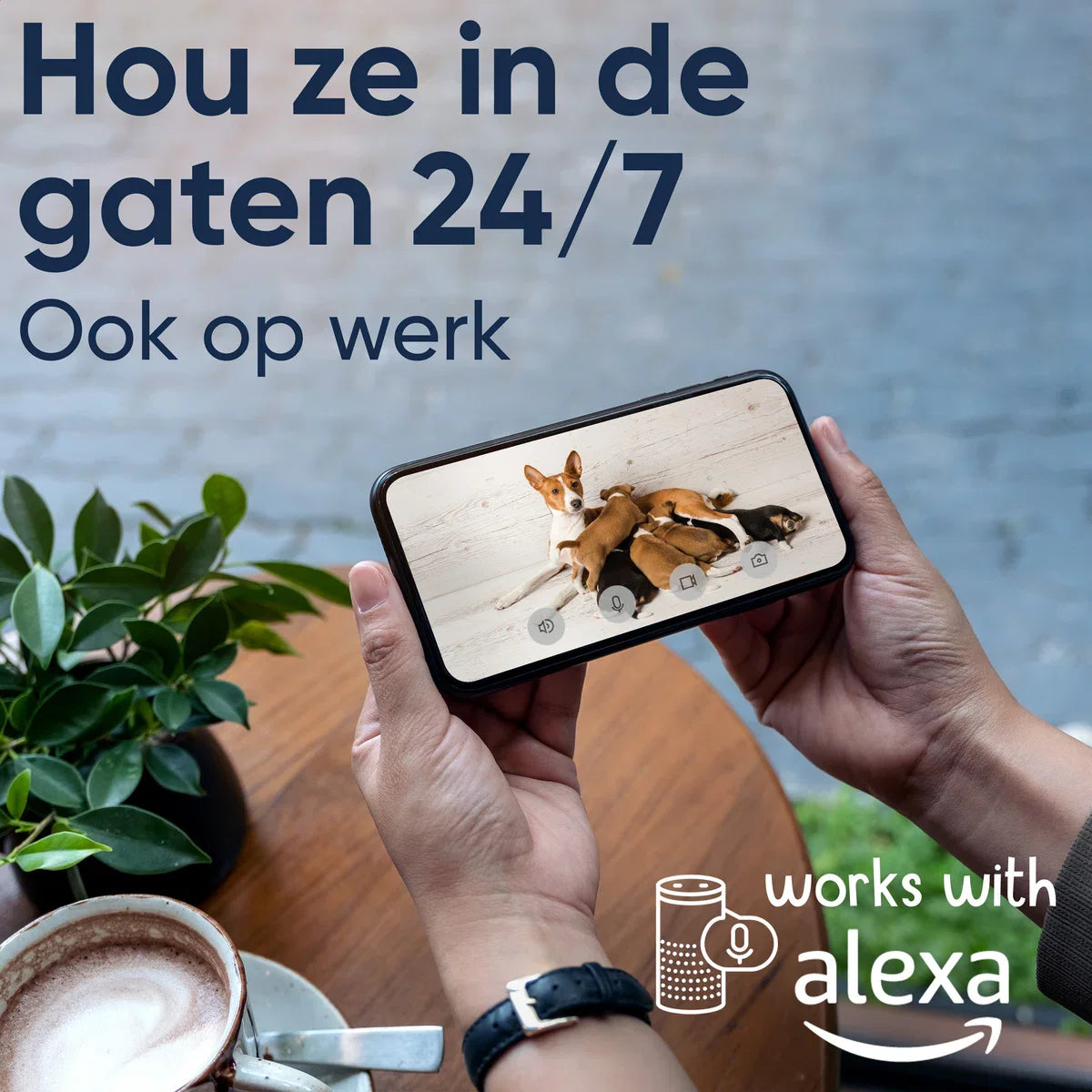 1080P Pet Camera met App - 360° Honden Camera - Hondencamera - Huisdier / Pet Cam - Voor Hond / Kat / Huisdieren