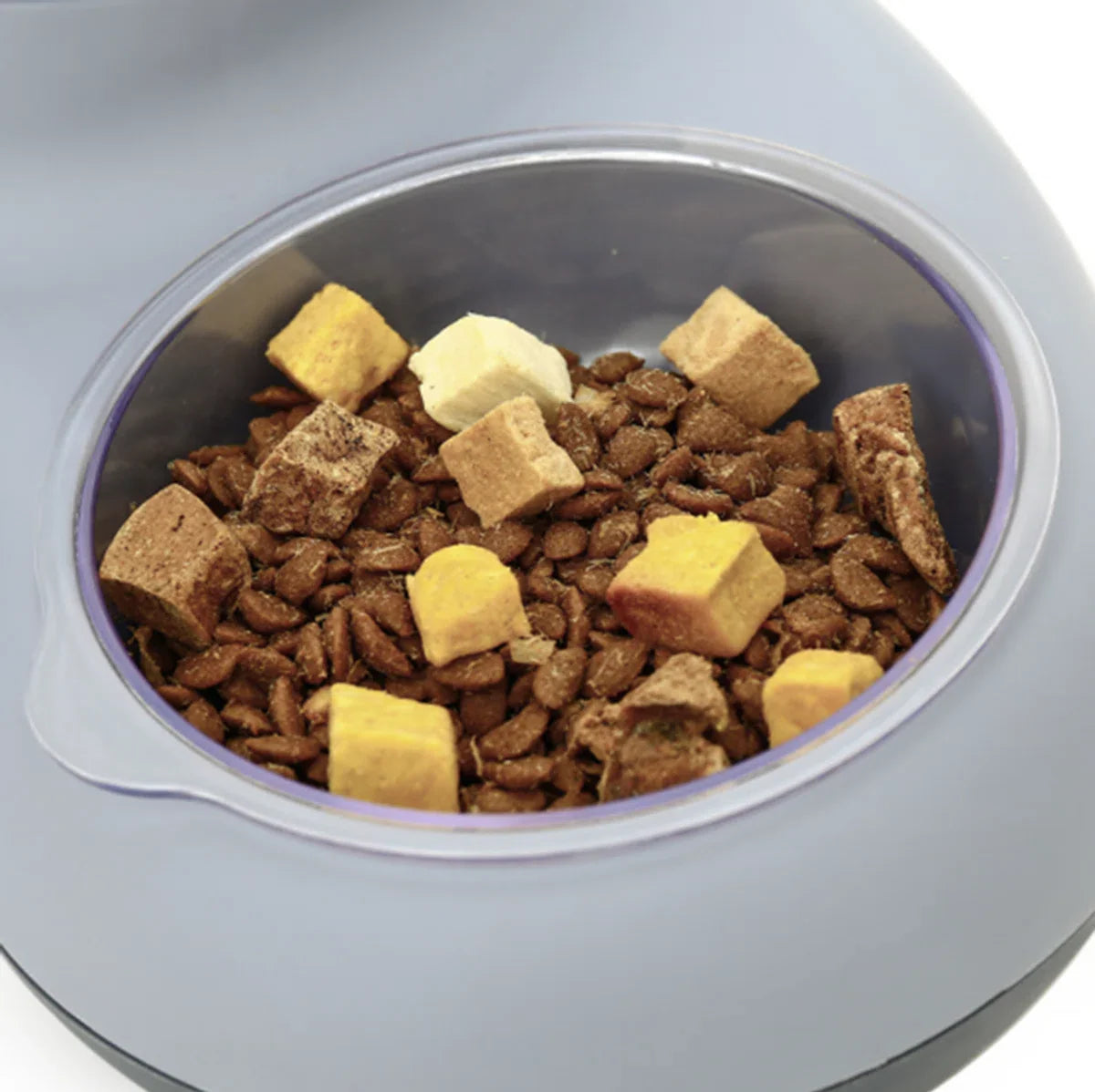 Pet Cat Bowl Automatische Voeder Hond Kattenvoer Kom Met Fontein Dubbele Kom Drinken Verhoogde Stand Schotel Kommen voor Katten