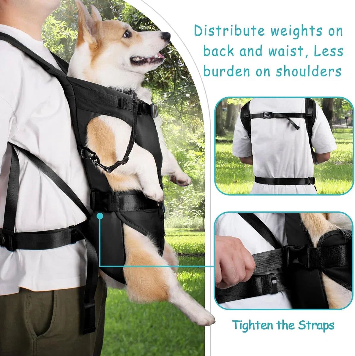 Pet Carrier Backpack, Hondenrugzak, Verstelbare draagtas voor honden, Ademende en lichte rugzakken voor middelgrote en kleine honden, Hondentas voor wandelingen, Zwart, L