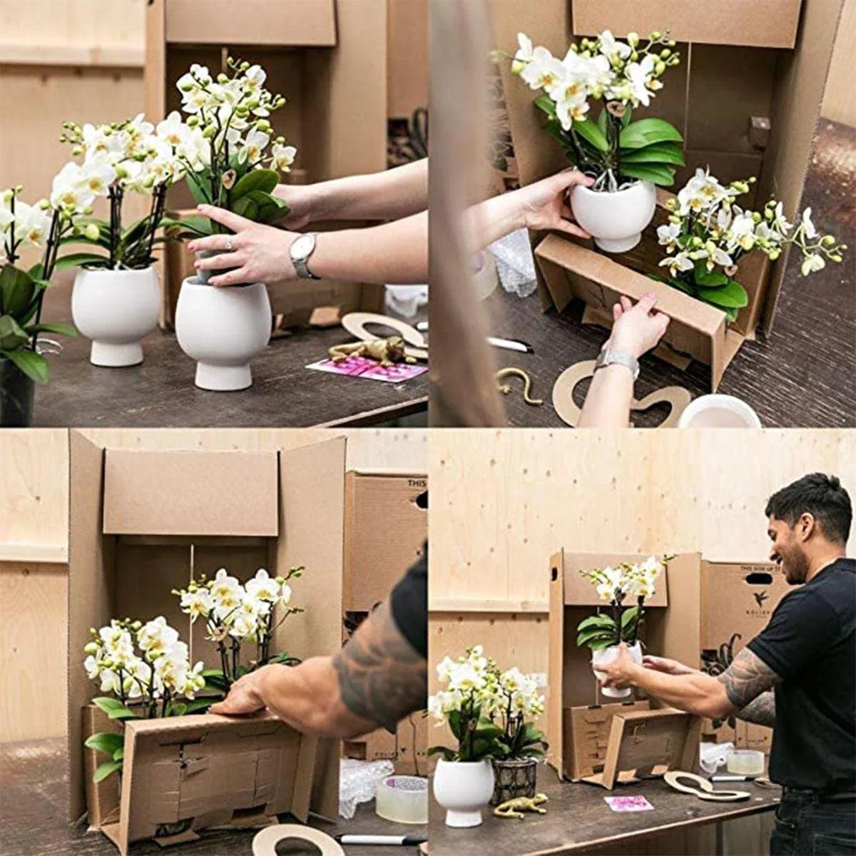 Cadeauset Home Hub | Plantenset met Phalaenopsis Orchidee en Succulenten incl. keramieken sierpotten