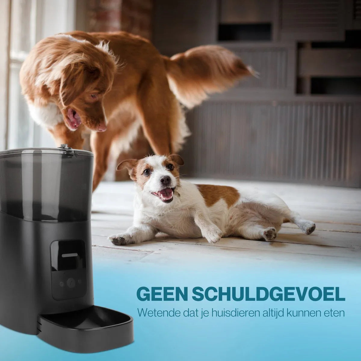 Automatic Pet Feeder Cat and Dog - Food Dispenser with smartphone control - Food Dispenser - Food capacity 6 Liters