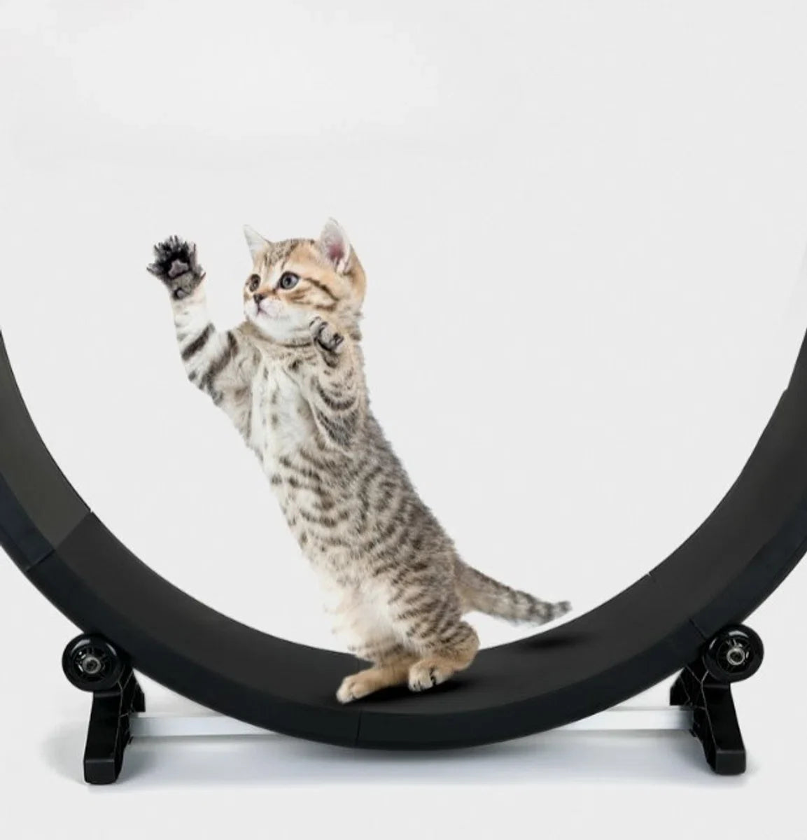Looprad voor kat - Loopwiel kat - 110 CM katten loopwiel - Kattenwiel - Katten loopband - Doe het zelf bouwpakket