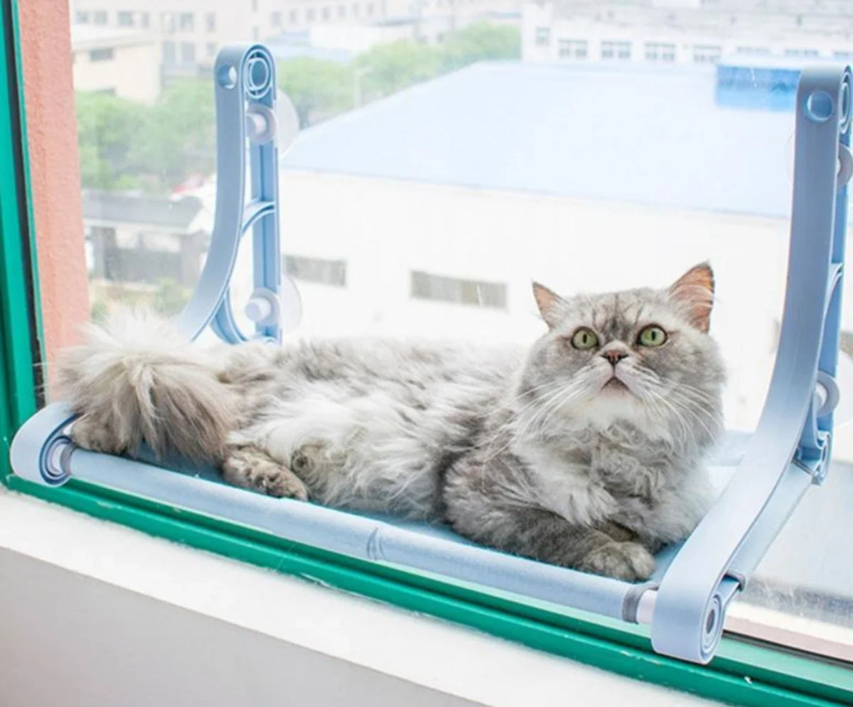 Luxe Kattenbed Zuignap Hangmat Nest Hangend Kattenbed Raam Klimmuur Vensterbank Wandmeubel Hangmat Kattenmand Huisdierbenodigdheden