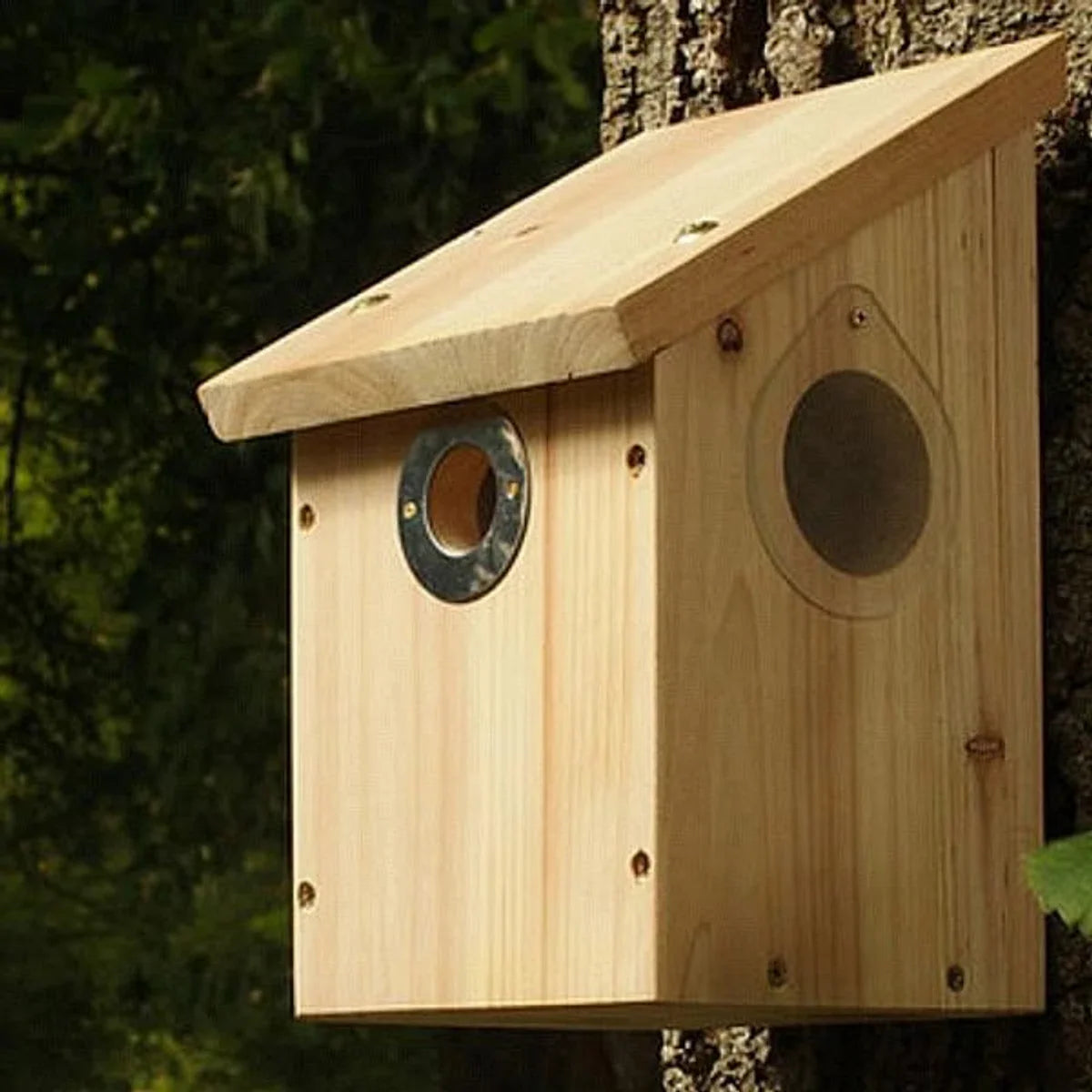 Birdhouse Multi Camera Ready - 28/32 mm