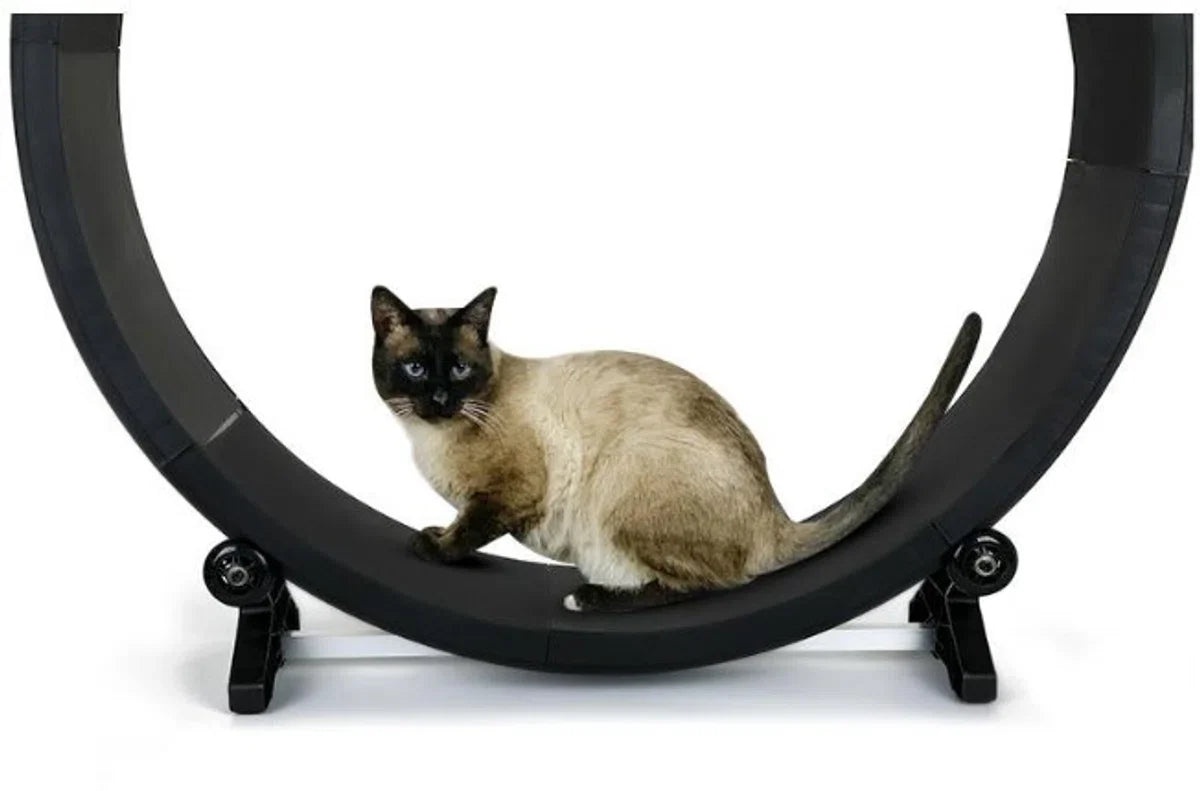Looprad voor kat - Loopwiel kat - 110 CM katten loopwiel - Kattenwiel - Katten loopband - Doe het zelf bouwpakket