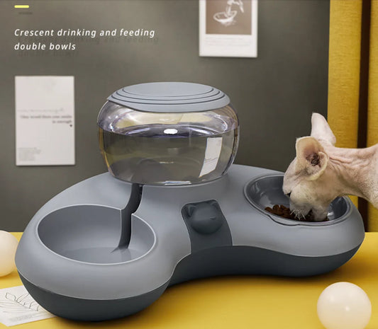 Pet Cat Bowl Automatische Voeder Hond Kattenvoer Kom Met Fontein Dubbele Kom Drinken Verhoogde Stand Schotel Kommen voor Katten