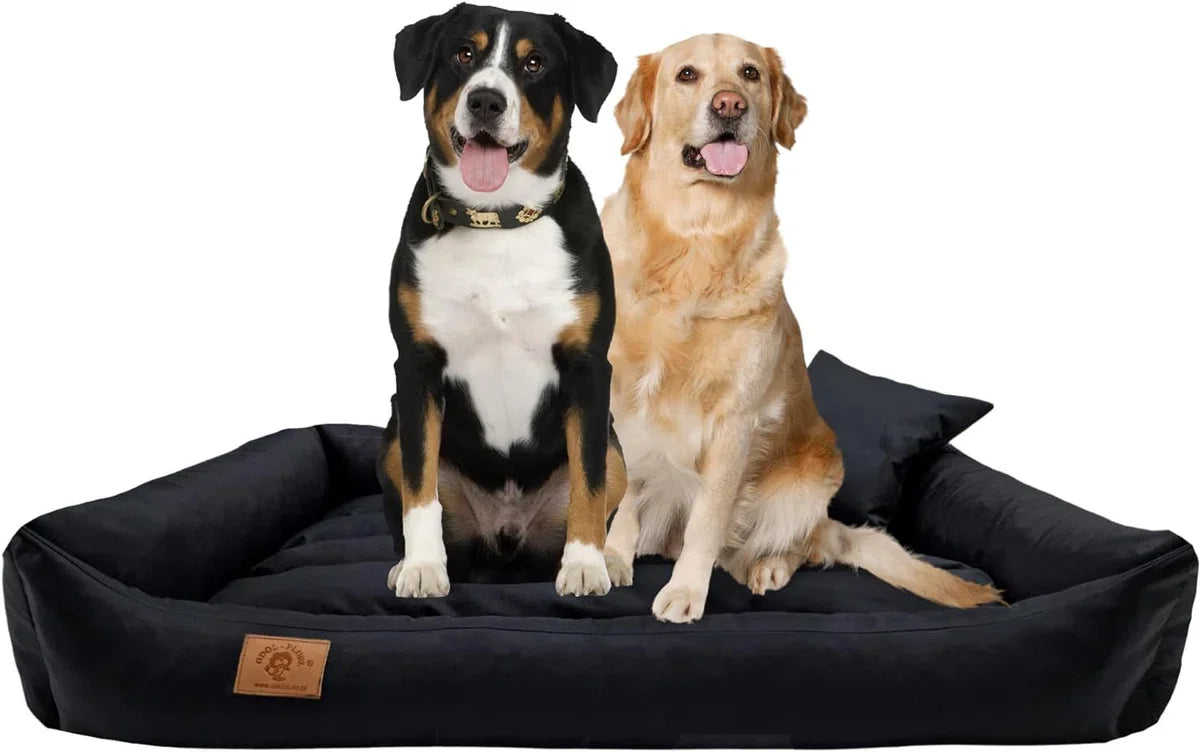 XXL Dog bed in black artificial leather - dog cushion dog sofa cat bed dog basket - waterproof